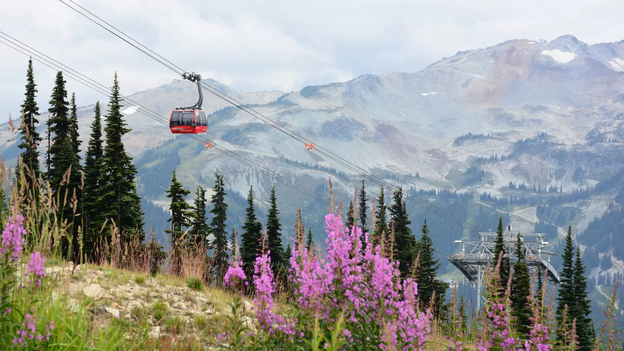 The PEAK 2 PEAK Gondola in Whistler, British Columbia. Jing Zhong/Shutterstock