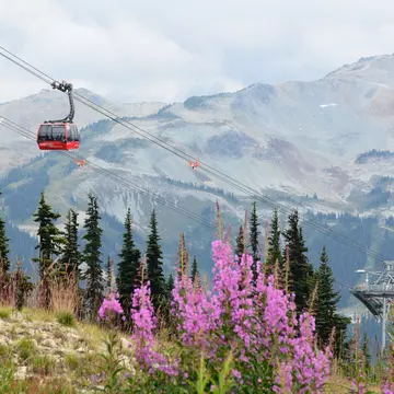 The PEAK 2 PEAK Gondola in Whistler, British Columbia. Jing Zhong/Shutterstock