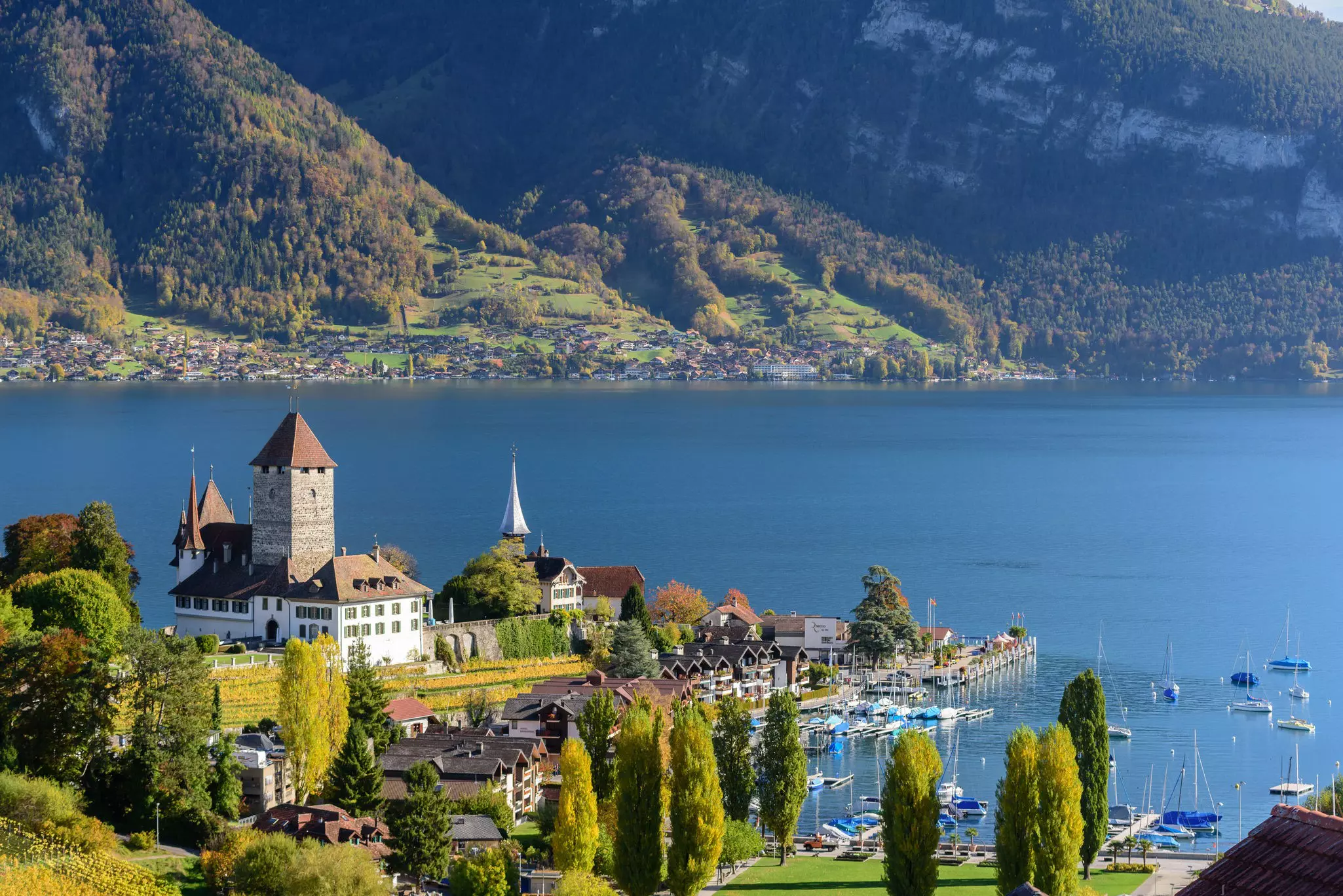 View of lake Thun in Switzerland during autumn season from Spiez train station