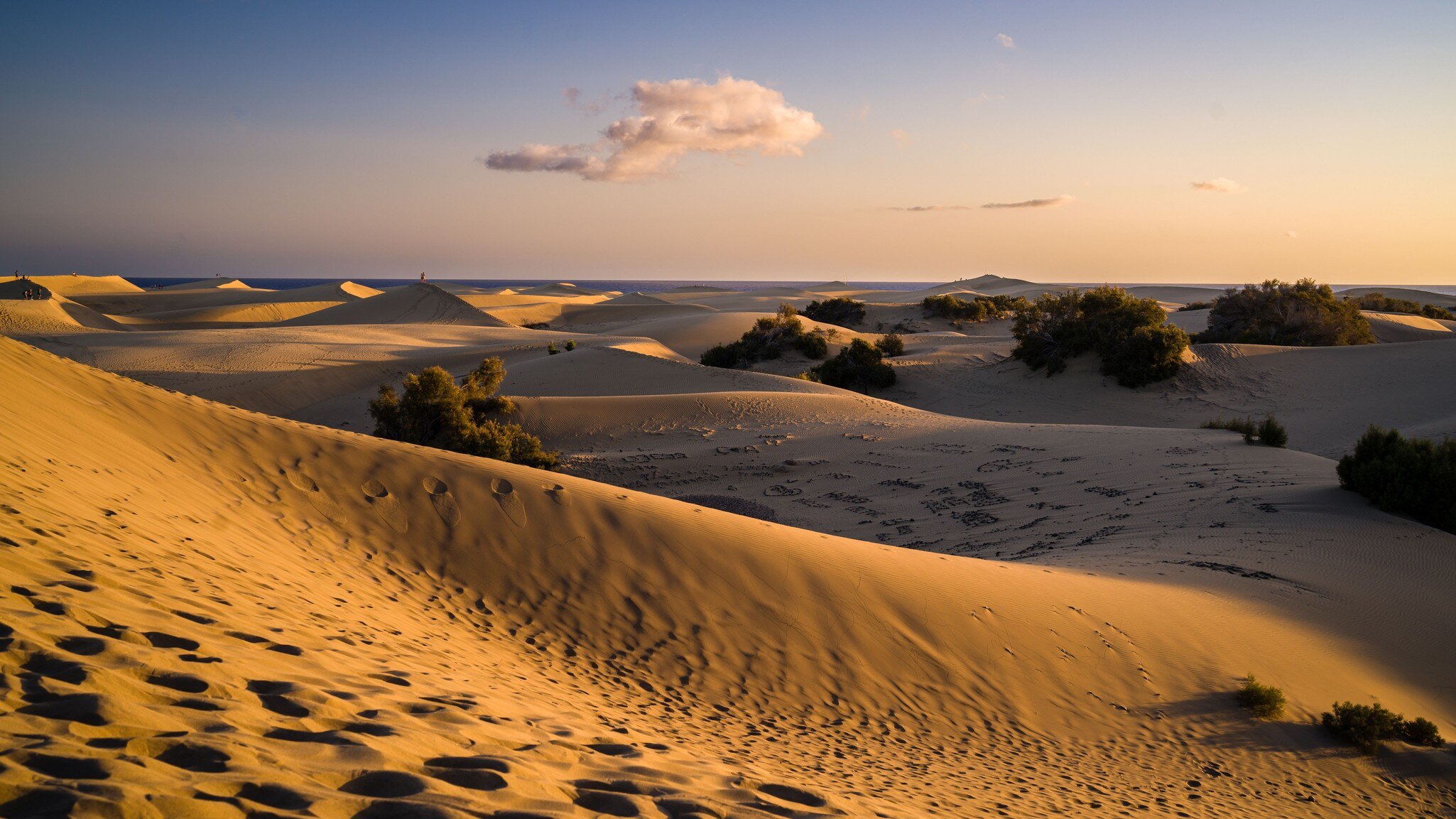 Rolling golden sand dunes patterned with footprints and dotted with low scrub, running down to the sea under a pale evening sky.