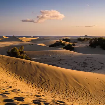 Rolling golden sand dunes patterned with footprints and dotted with low scrub, running down to the sea under a pale evening sky.