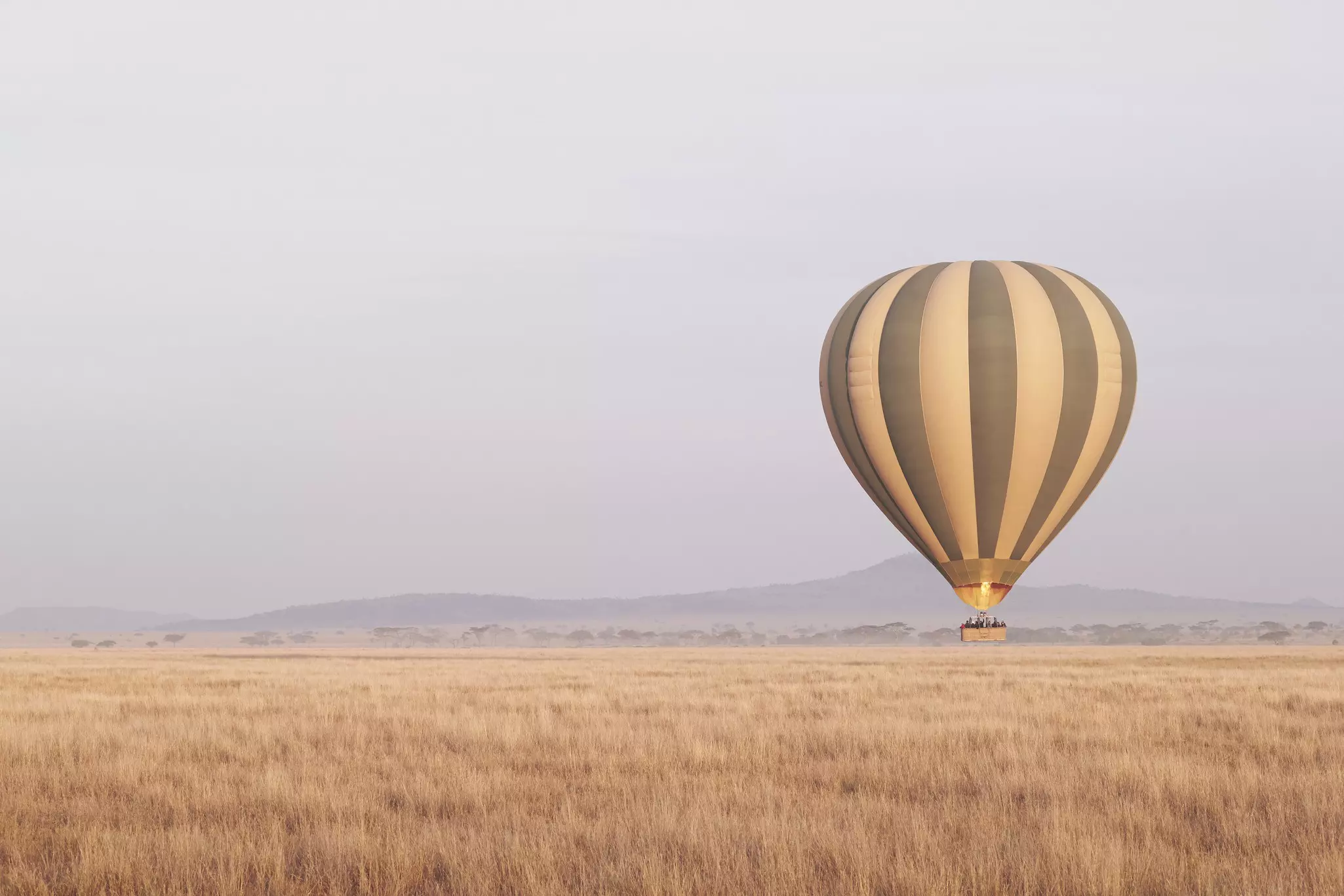 A hot-air balloon takes off at dawn over the Serengeti, one of the world’s best safari destinations © Jonathan Gregson / Lonely Planet