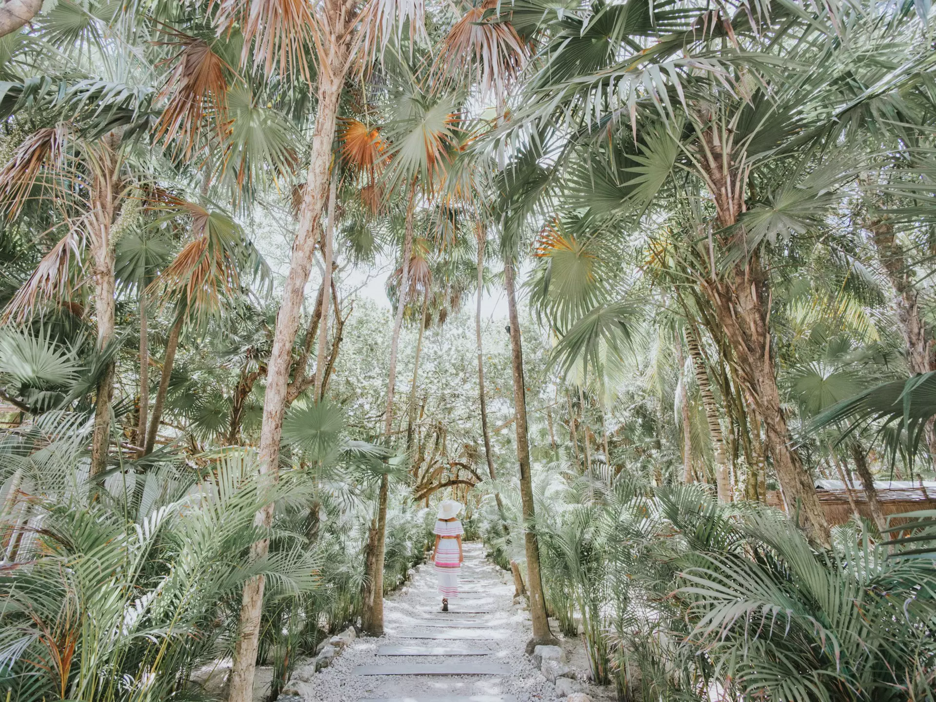 Getting lost in beach paradise!
694461218