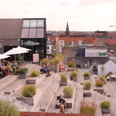 A rooftop with green plants and a wooden deck. There are views of downtown buildings.