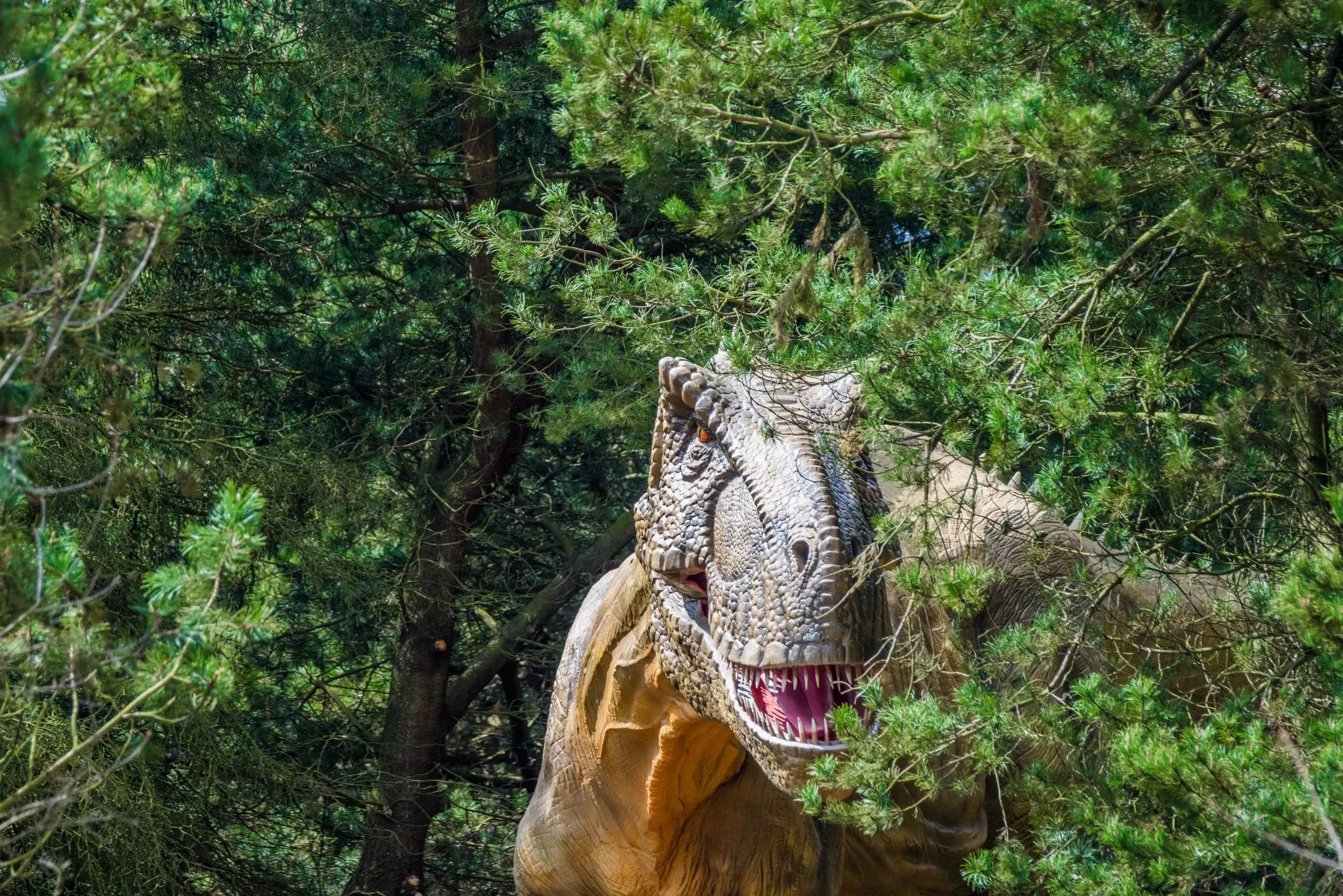 A diorama of a Tyrannosaurus rex in a forested area.
