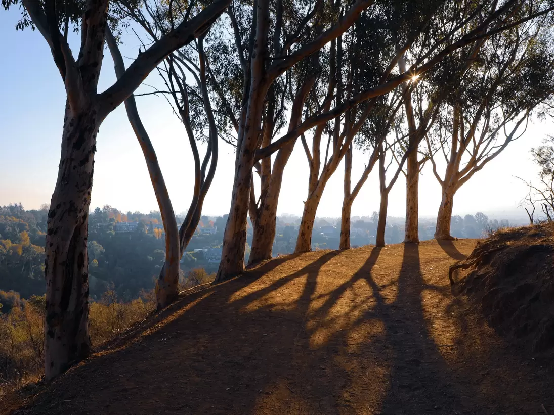 Tree lined Inspiration Point hiking trail in Will Rogers State Historic Park in the morning shadows