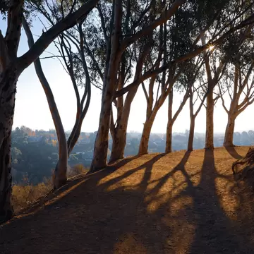Tree lined Inspiration Point hiking trail in Will Rogers State Historic Park in the morning shadows