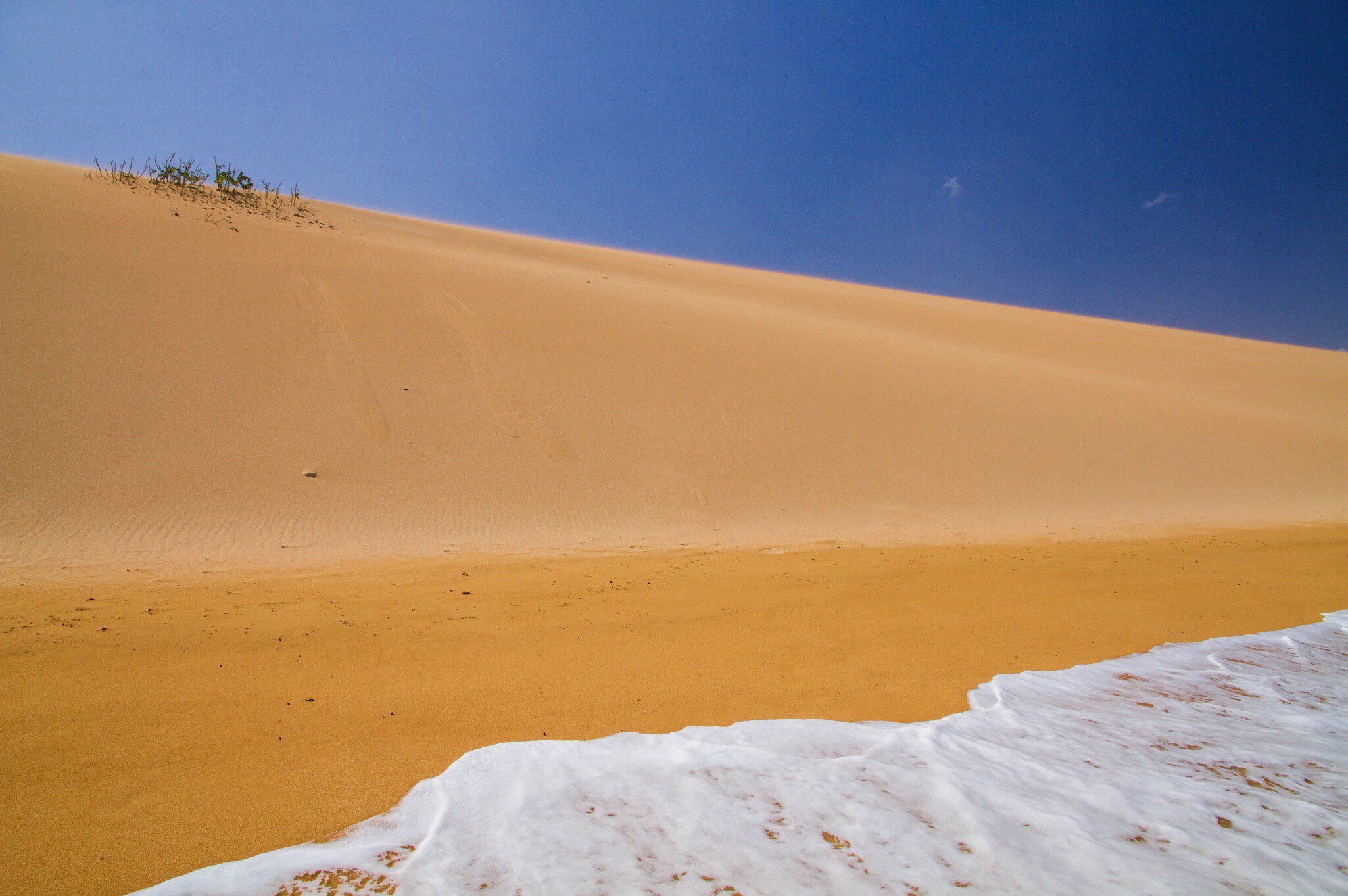 Where the ocean meets the desert