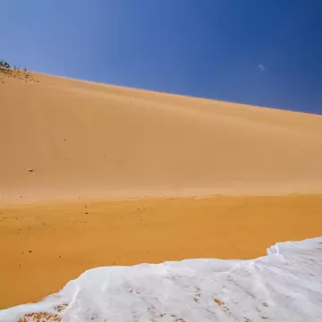 Where the ocean meets the desert