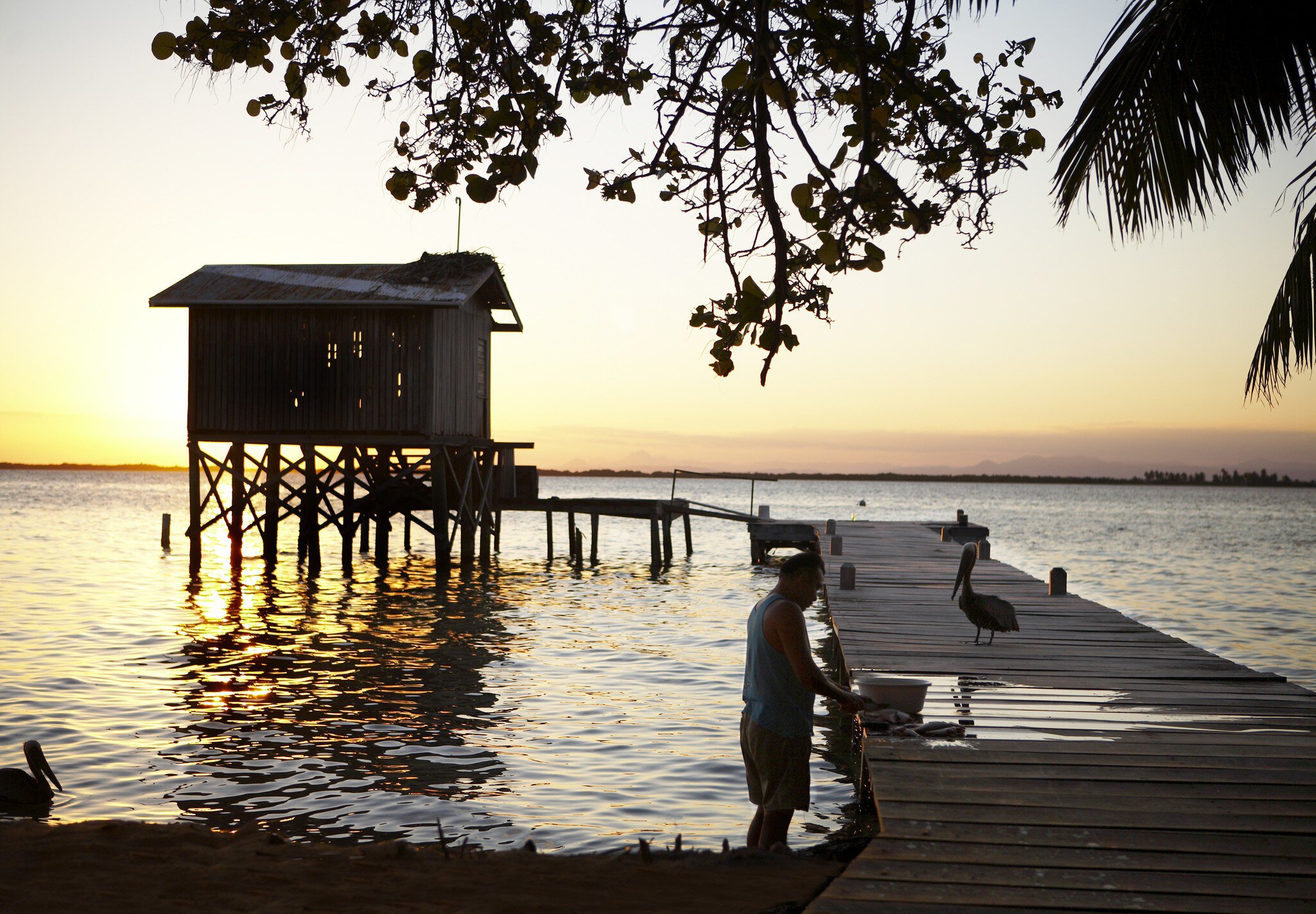 Fisherman cleaning fish on jetty at Tobacco Caye.