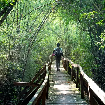 Nam Cat Tien National Park, Dong Nai Province, Vietnam, August 18, 2019: Panoramic image female visitors relaxing on wooden bridge at misty tropical rain forest in Nam Cat Tien nature reserve.
