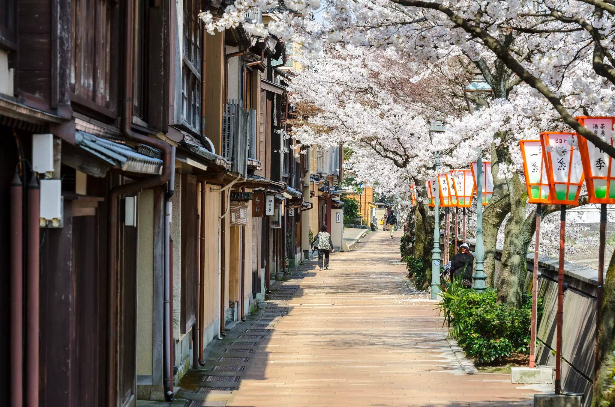 Kyoka no michi street along Asanogawa river in Kanazawa, Japan.
architecture, beautiful, beauty, japan, tourism, urban, asia, buildings, kanazawa, old, river, riverside, sakura, street, travel, tree, cherry blossom, pathway