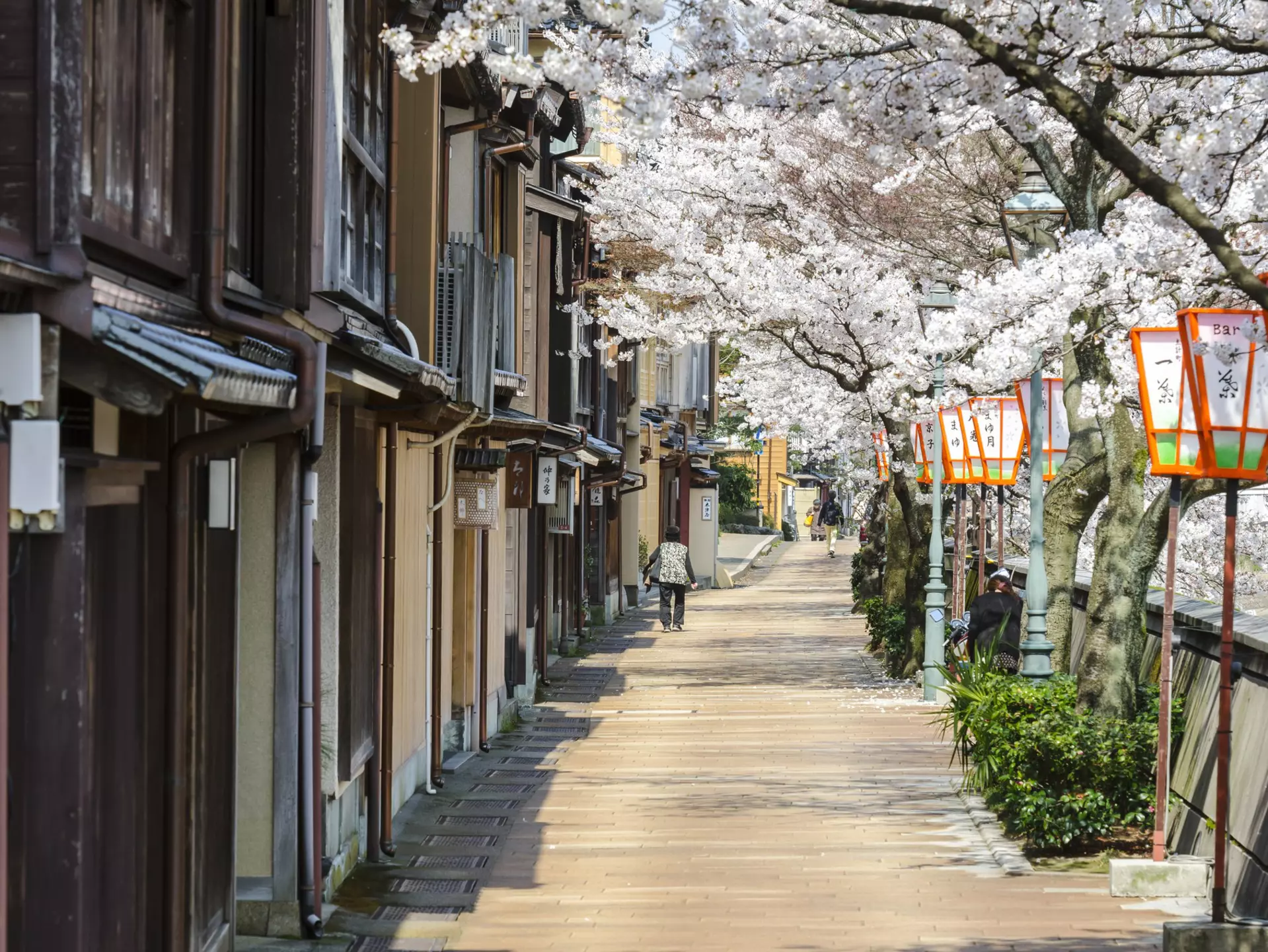 Kyoka no michi street along Asanogawa river in Kanazawa, Japan.
architecture, beautiful, beauty, japan, tourism, urban, asia, buildings, kanazawa, old, river, riverside, sakura, street, travel, tree, cherry blossom, pathway