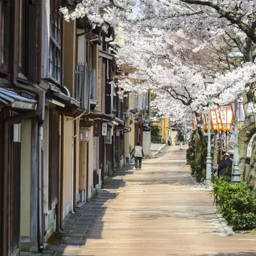 Kyoka no michi street along Asanogawa river in Kanazawa, Japan.
architecture, beautiful, beauty, japan, tourism, urban, asia, buildings, kanazawa, old, river, riverside, sakura, street, travel, tree, cherry blossom, pathway