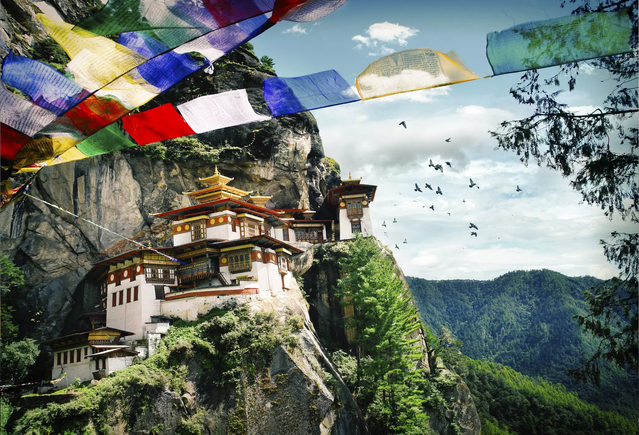 Balanced precariously on a cliff wall, Taktsang Goemba is Bhutan's most famous monastery © narvikk / Getty Images