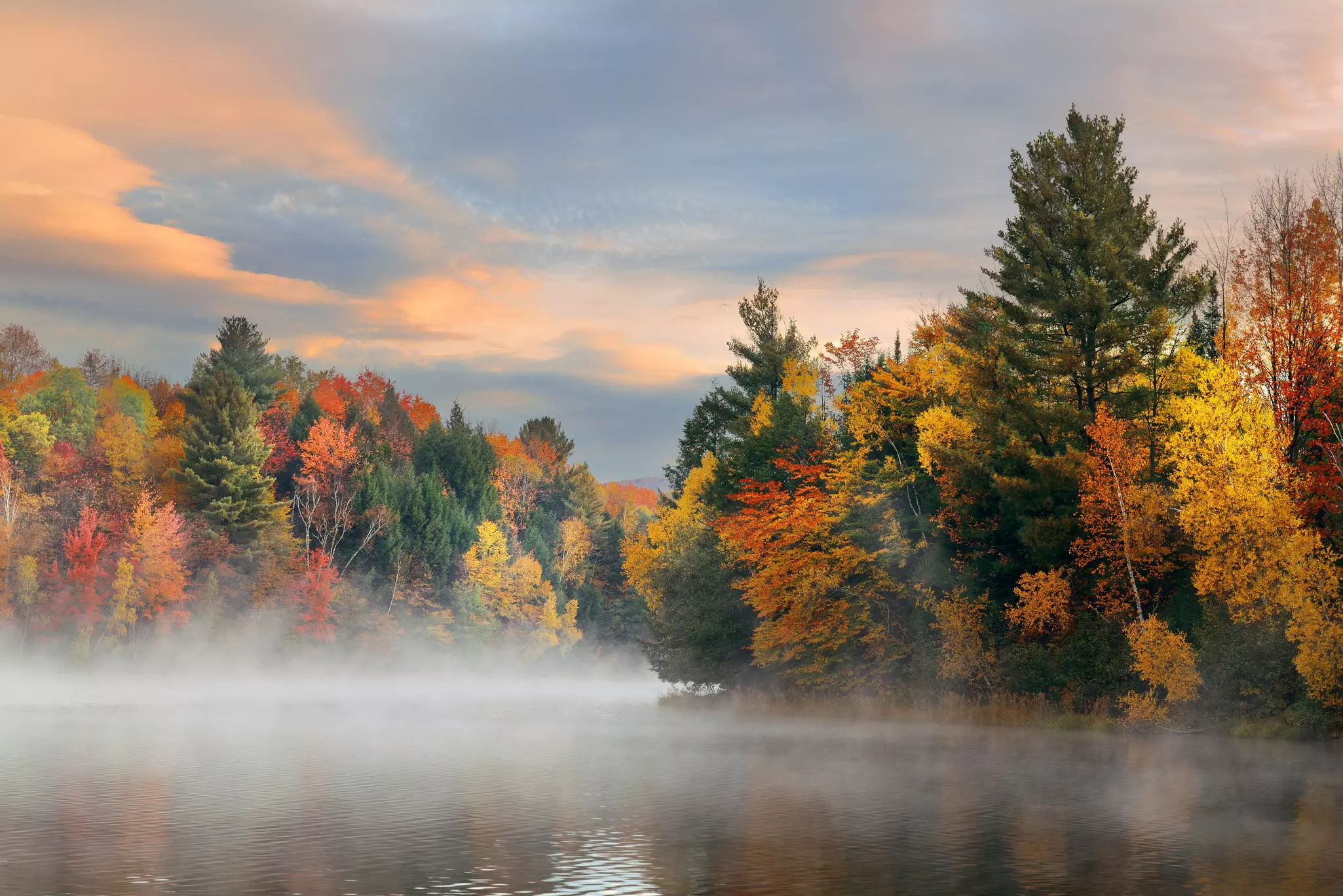 A foggy view of a lake with colorful trees in fall.