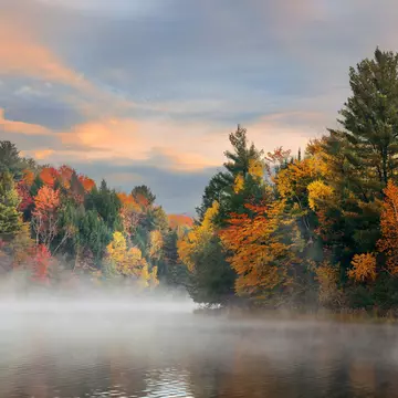 A foggy view of a lake with colorful trees in fall.