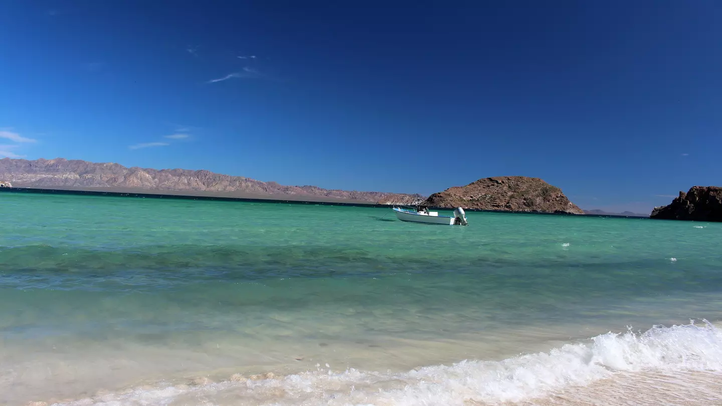 The beach of Bahía Concepción, Baja California Sur.