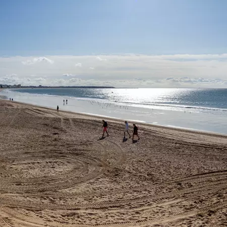 People walking on a beach on a sunny day