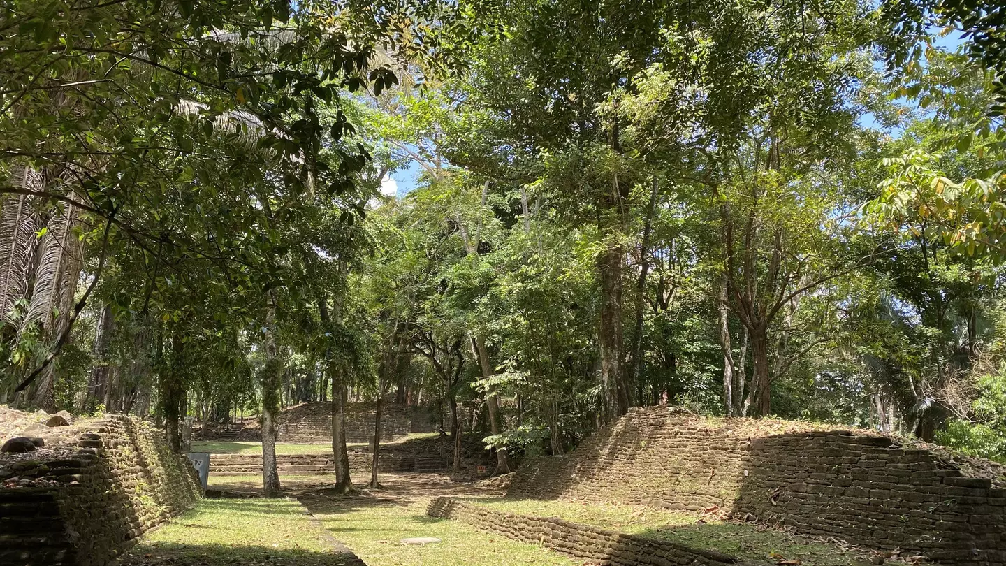 An elevated freight line passes alongside Penn Park © Maya Stanton/ Lonely Planet