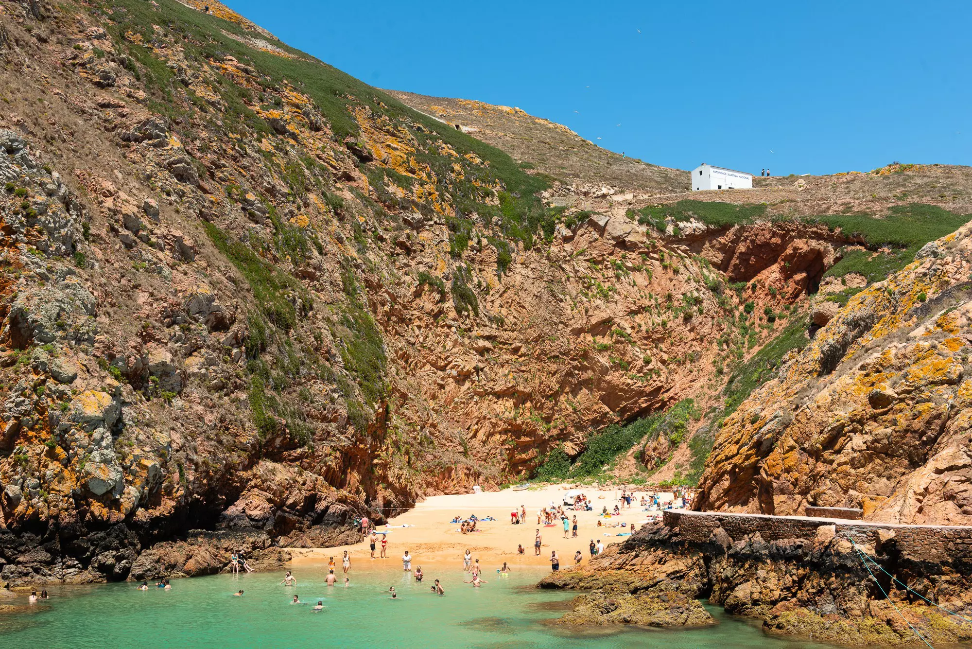 Taking a swim in the Berlengas Islands, off Peniche © Austin Bush / Lonely Planet