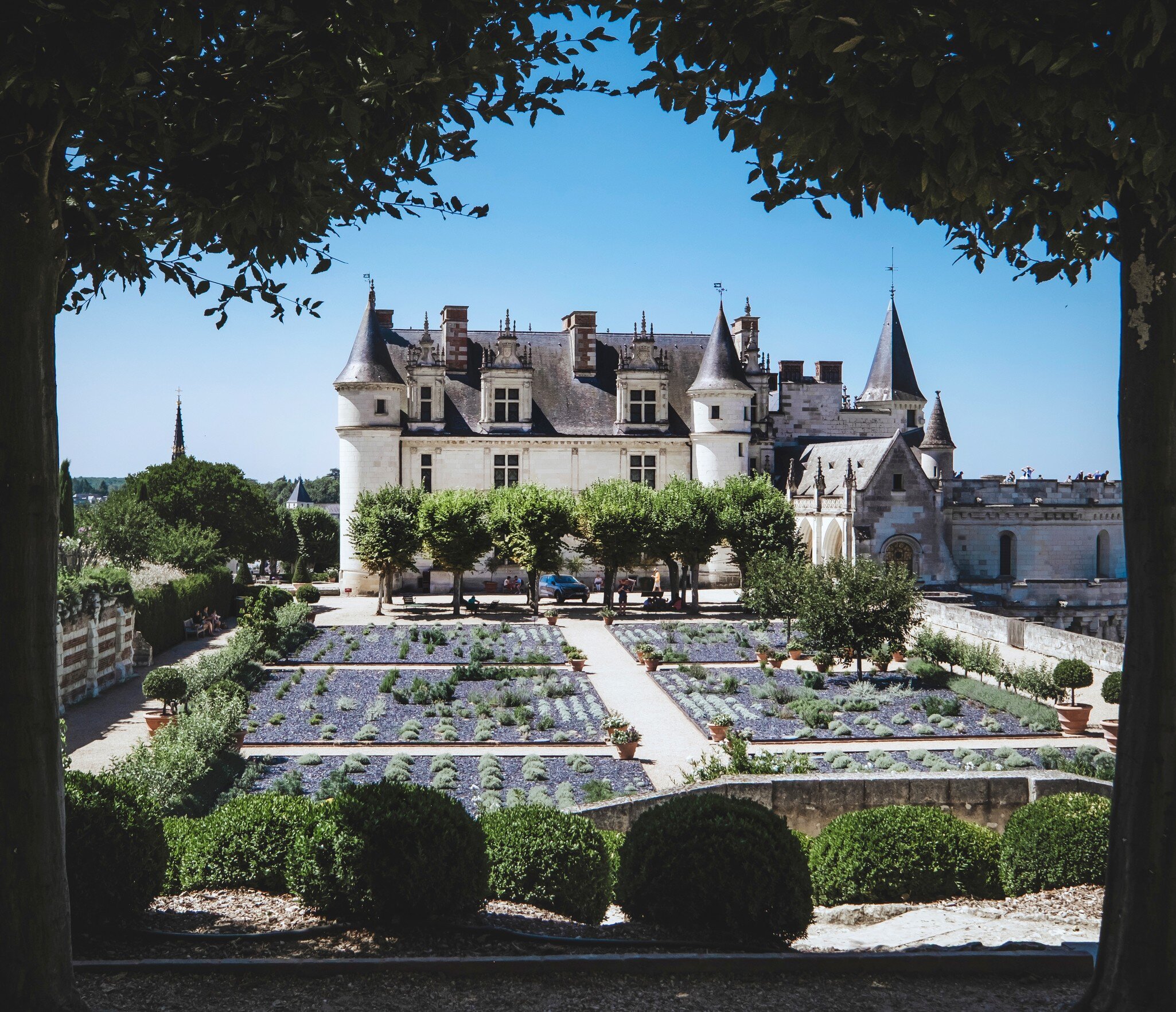 A view of the historic town of Amboise at the side of the River Loire, with the illuminated royal castle Chateau d'Amboise towering at hilltop. Amboise, Loire Valley, France.