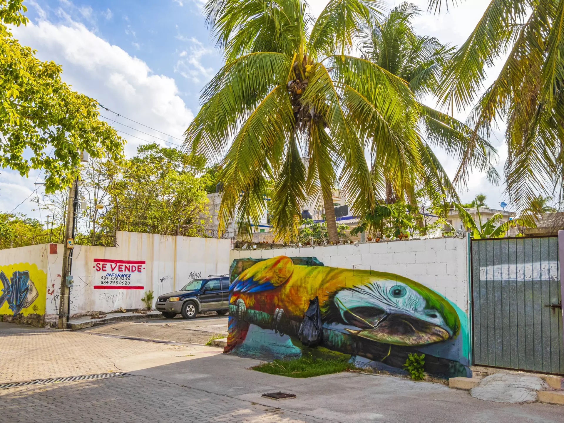 Typical street road and cityscape with cars and buildings of Luis Donaldo Colosio Playa del Carmen in Mexico.