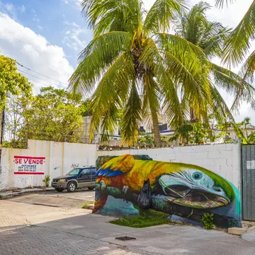Typical street road and cityscape with cars and buildings of Luis Donaldo Colosio Playa del Carmen in Mexico.