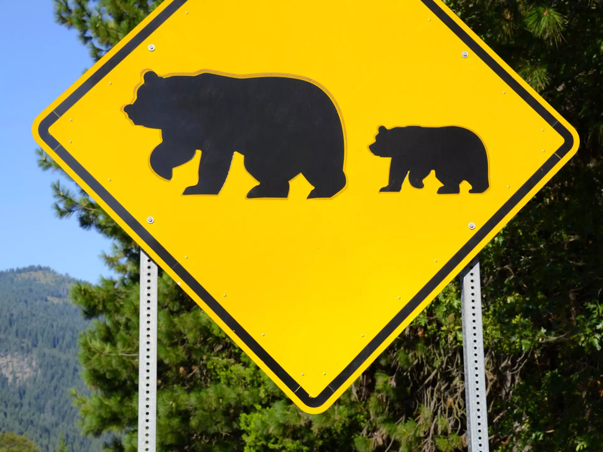 Bear crossing warning road sign in the wilderness, License Type: media, Download Time: 2025-12-03T20:07:02.000Z, User: mvm_lonelyplanet, Editorial: false, purchase_order: 56530 - Guidebooks, job: Alaska 15, client: Global Publishing-WIP, other: Virginia Moreno