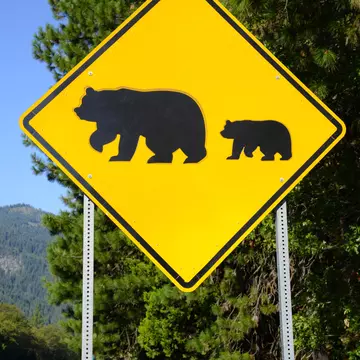 Bear crossing warning road sign in the wilderness, License Type: media, Download Time: 2025-12-03T20:07:02.000Z, User: mvm_lonelyplanet, Editorial: false, purchase_order: 56530 - Guidebooks, job: Alaska 15, client: Global Publishing-WIP, other: Virginia Moreno