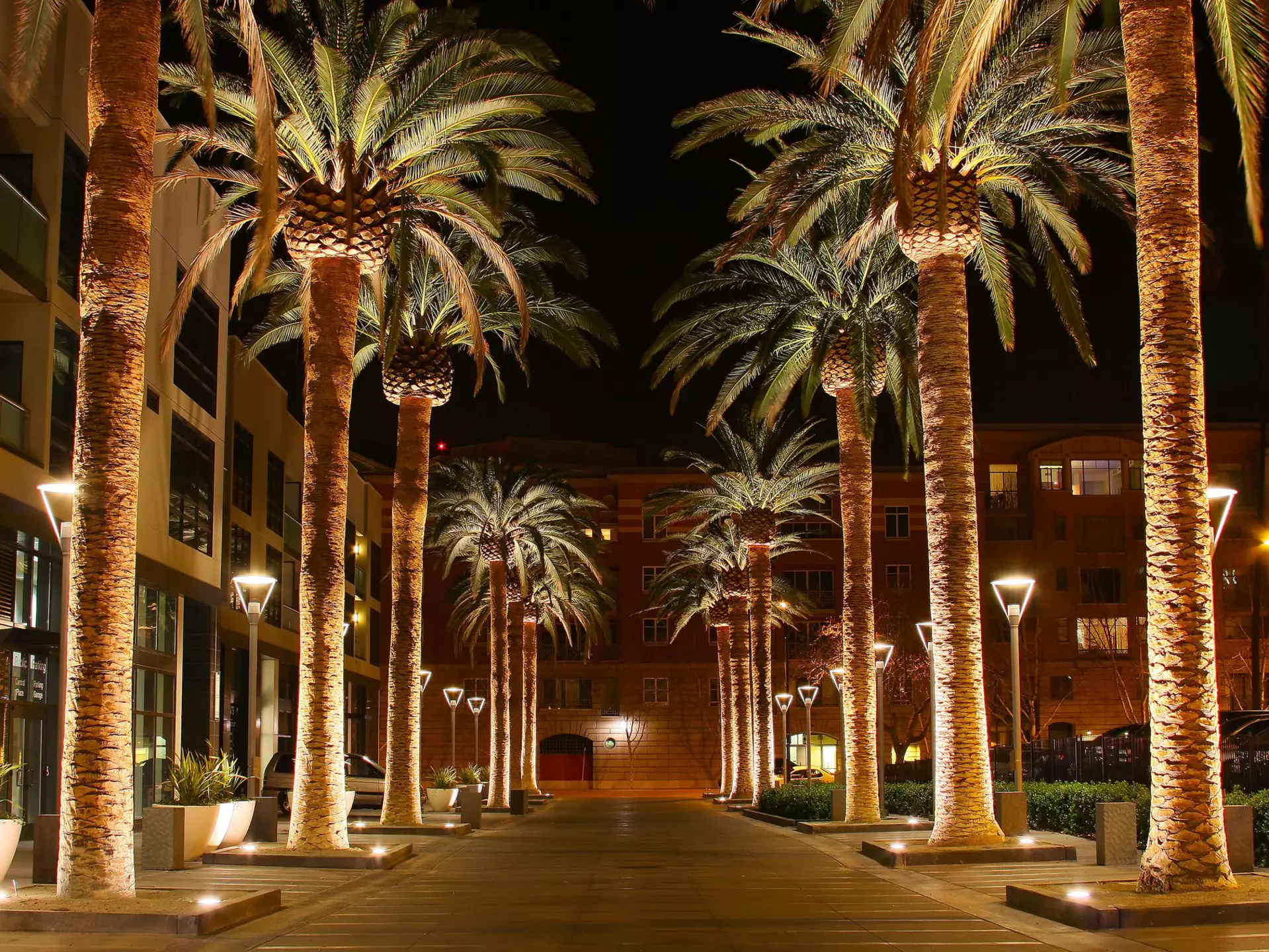 This photo is of Downtown San Jose.
136644875