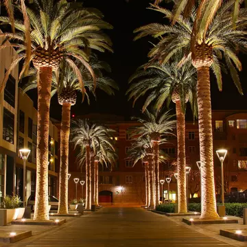 This photo is of Downtown San Jose.
136644875