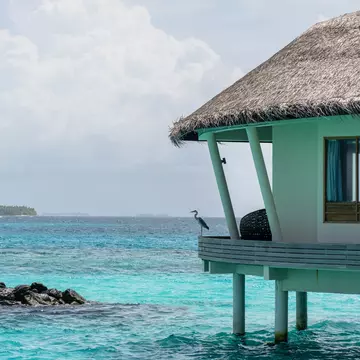 A heron perched on the railing of a bungalow over turquoise blue water.