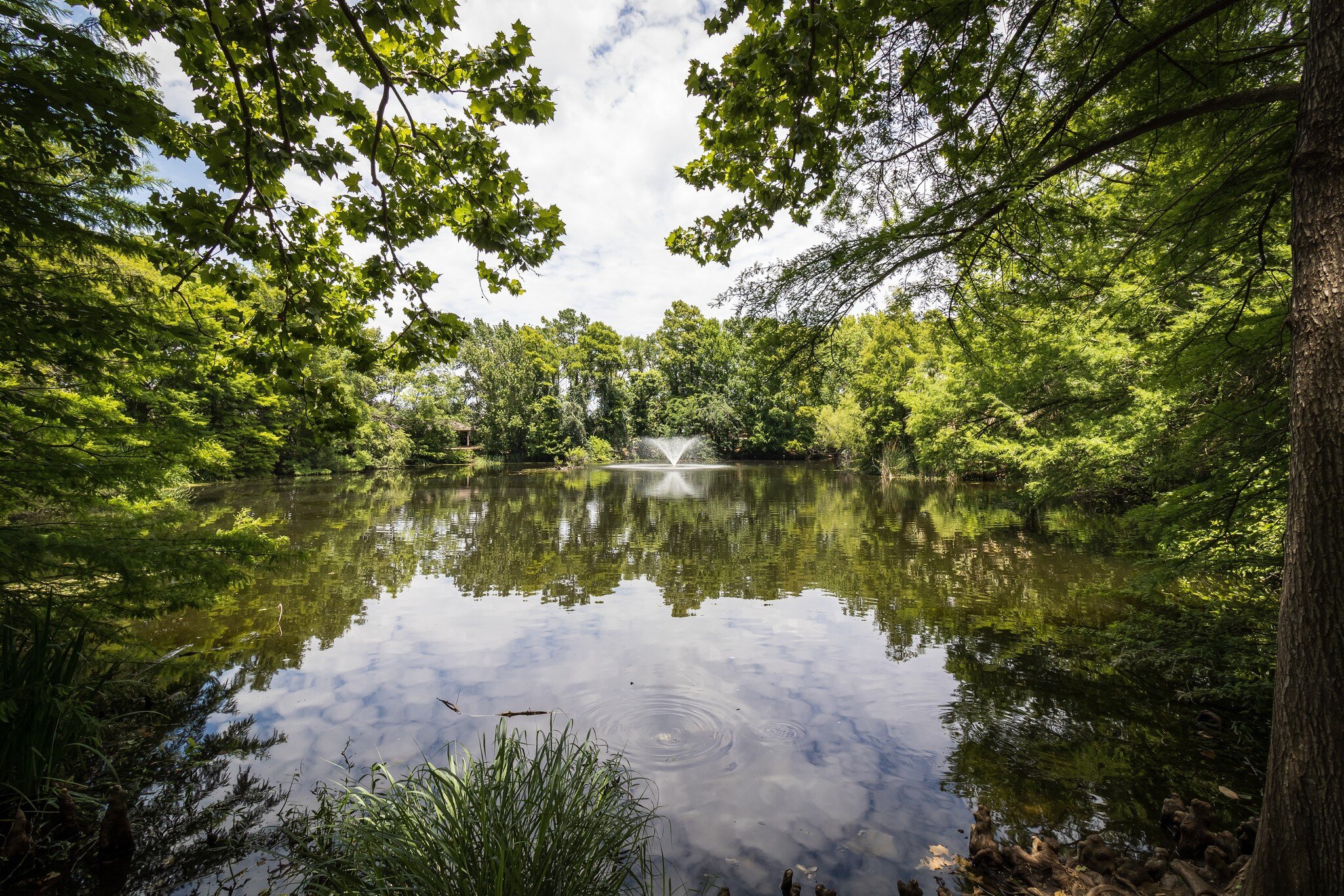 San Antonio botanical gardens. Architect: Emilio Ambasz