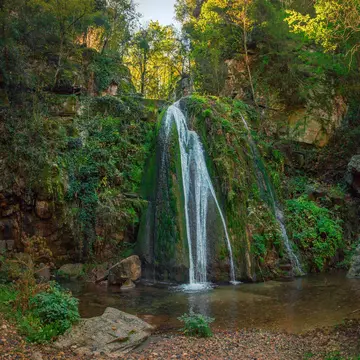 A waterfall collects in a small pool in a dense forest.