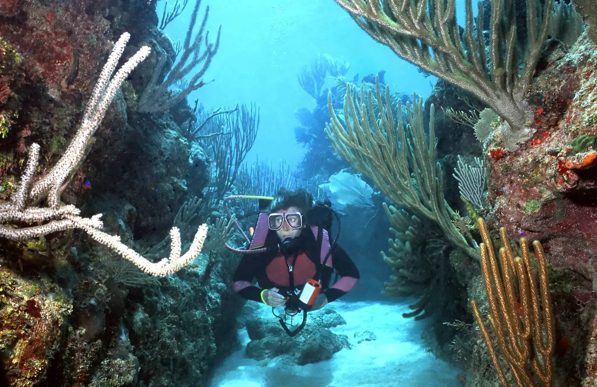 A scuba diver propels herself near the sea floor through an opening between two large reef formations.