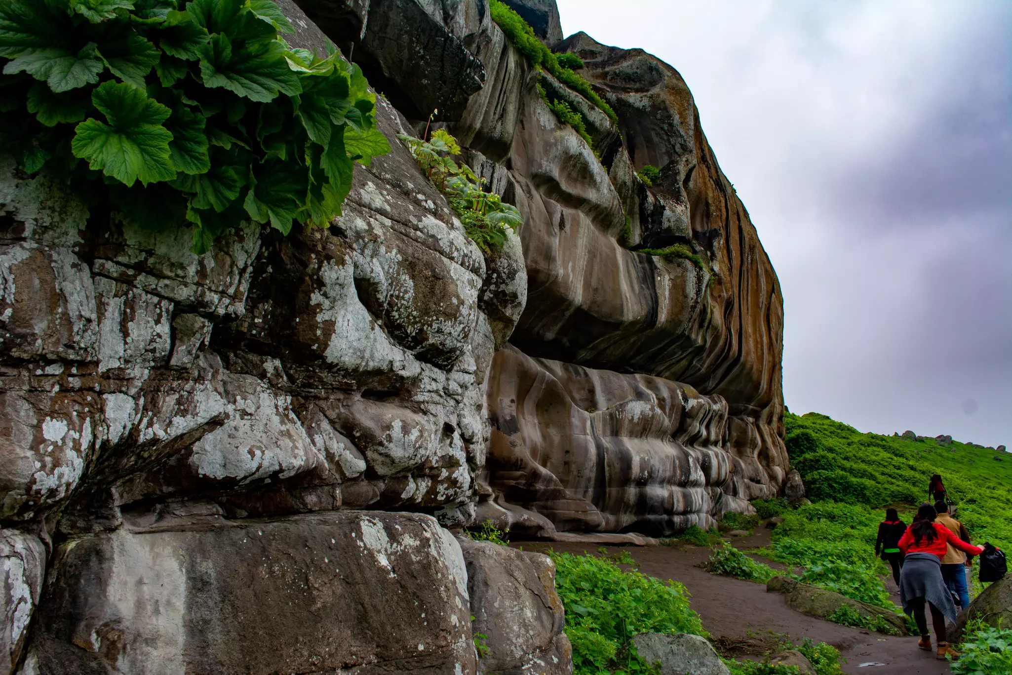 People walk on a path past cliffs in a wet and verdant landscape