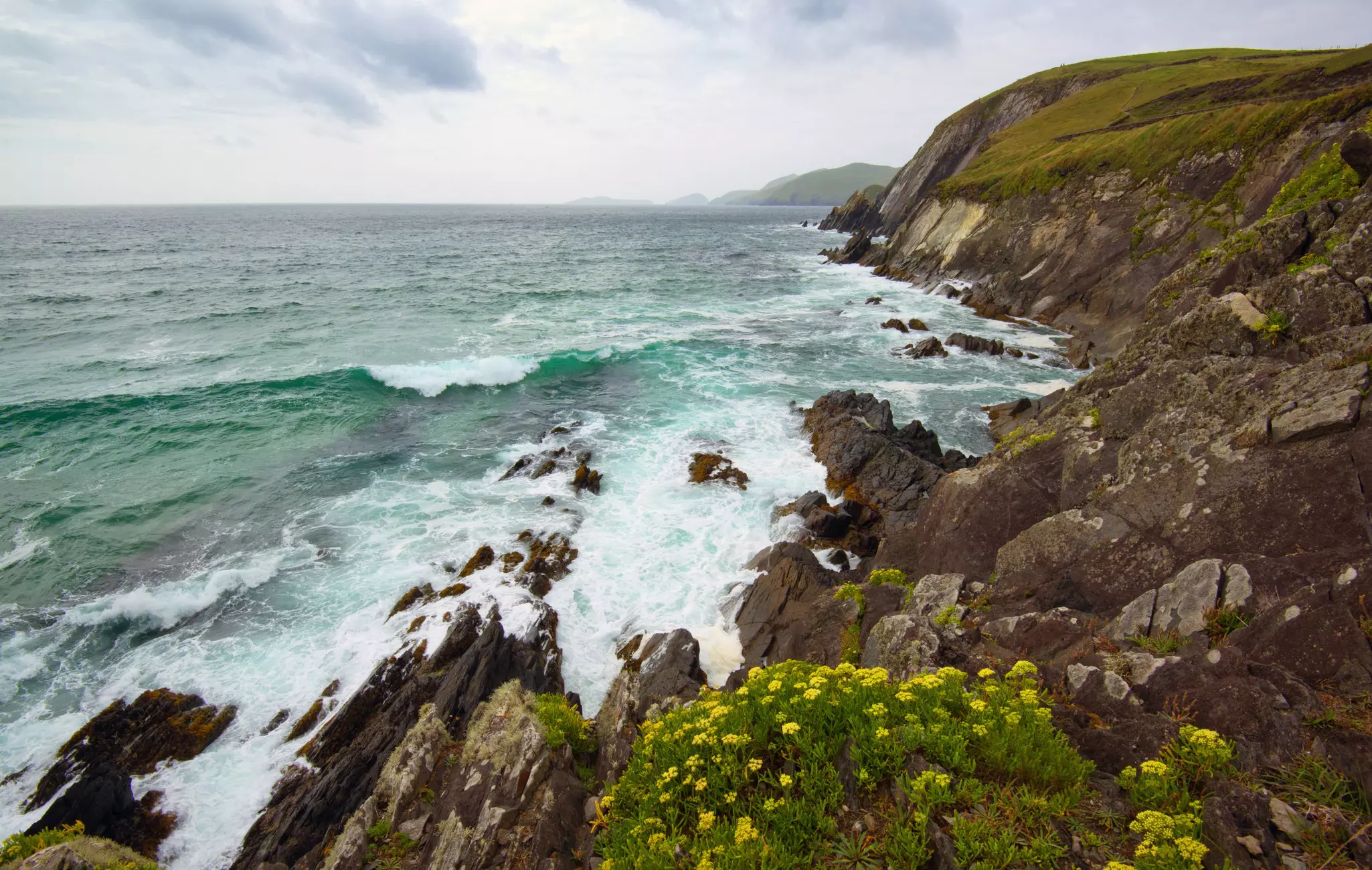 Waves crash at a rocky shoreline where yellow flowers bloom