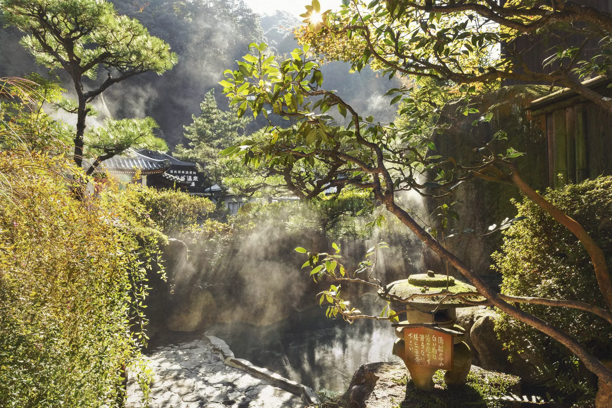 Steam rises off an outdoor hot spring surrounded by foliage.