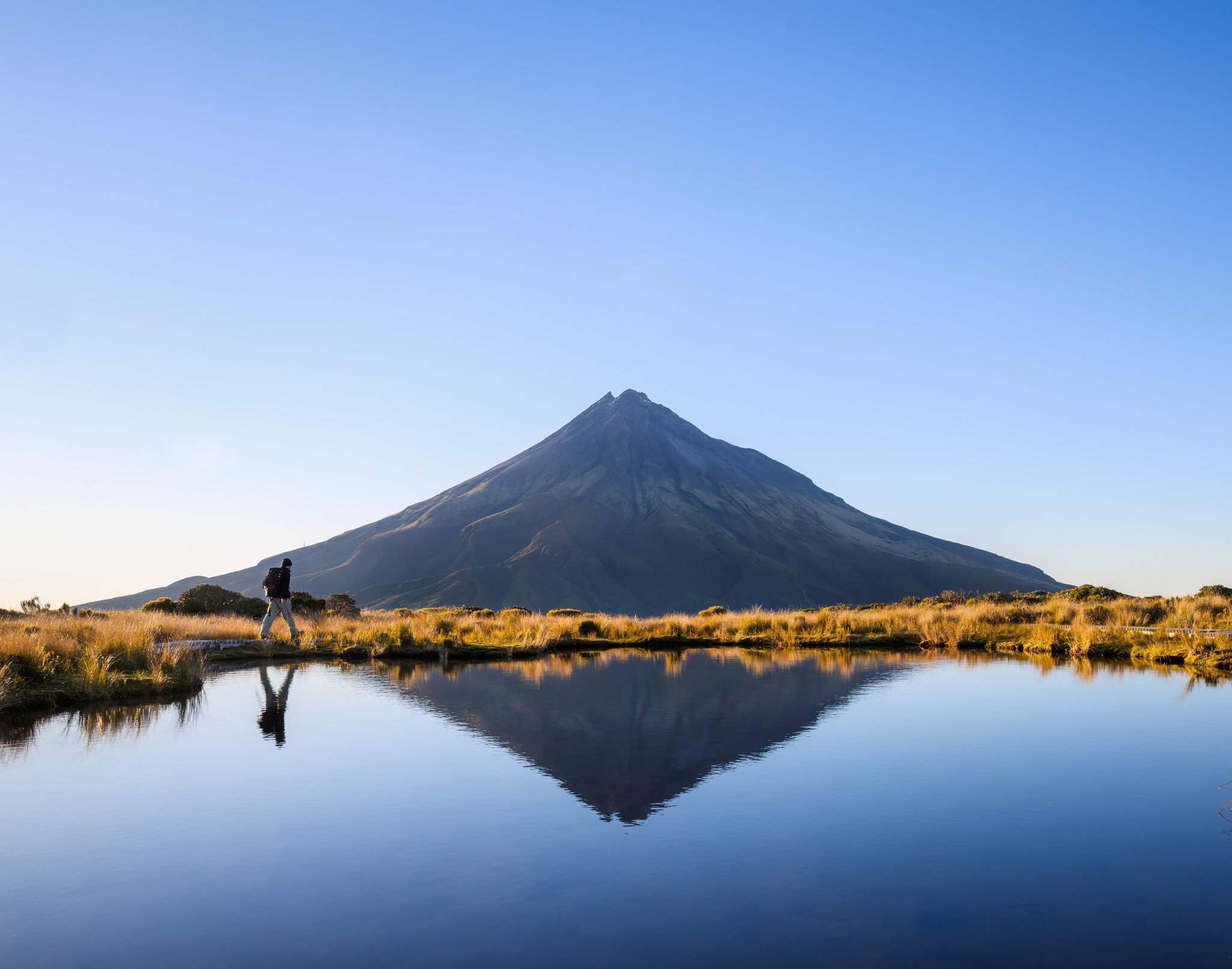 Man hiking the Pouakai circuit. Mt Taranaki under the clear blue sky. New Zealand.