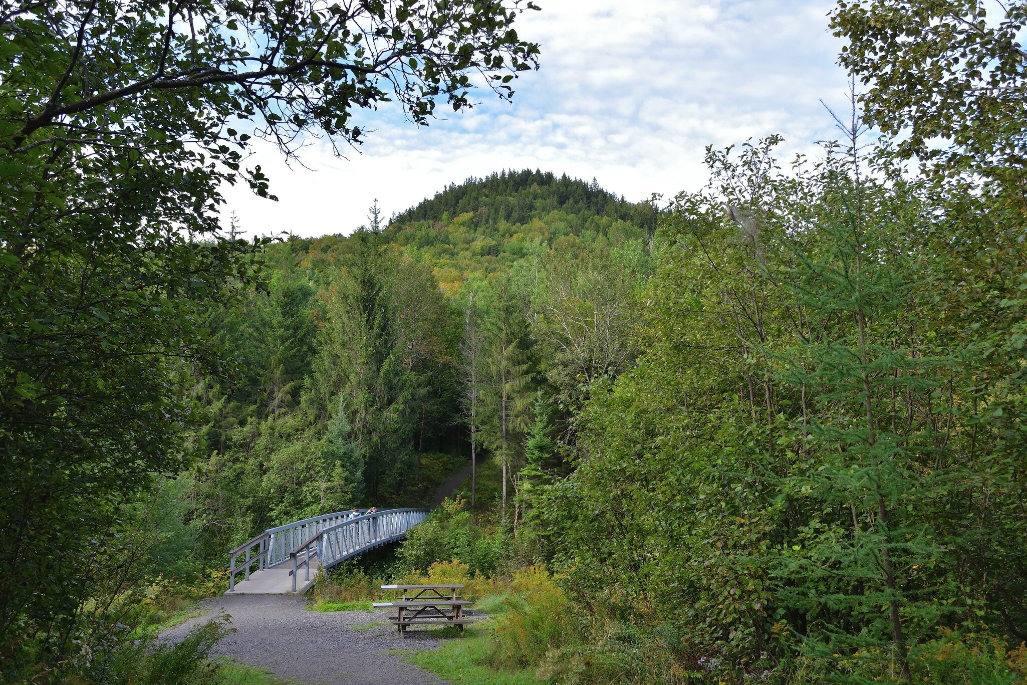 View of a bridge surrounded by forest in Parc National du Mont-Mégantic, Canada.