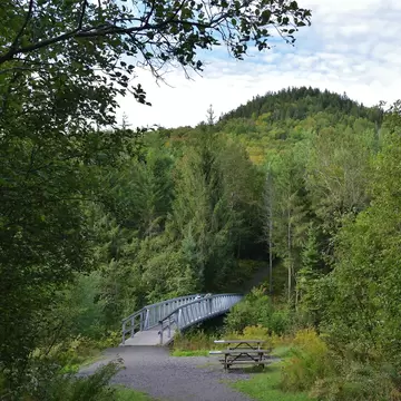 View of a bridge surrounded by forest in Parc National du Mont-Mégantic, Canada.