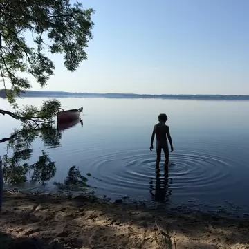 Silhouette of boy wading into the calm lake of Esrum in the early morning, Gribskov Region.