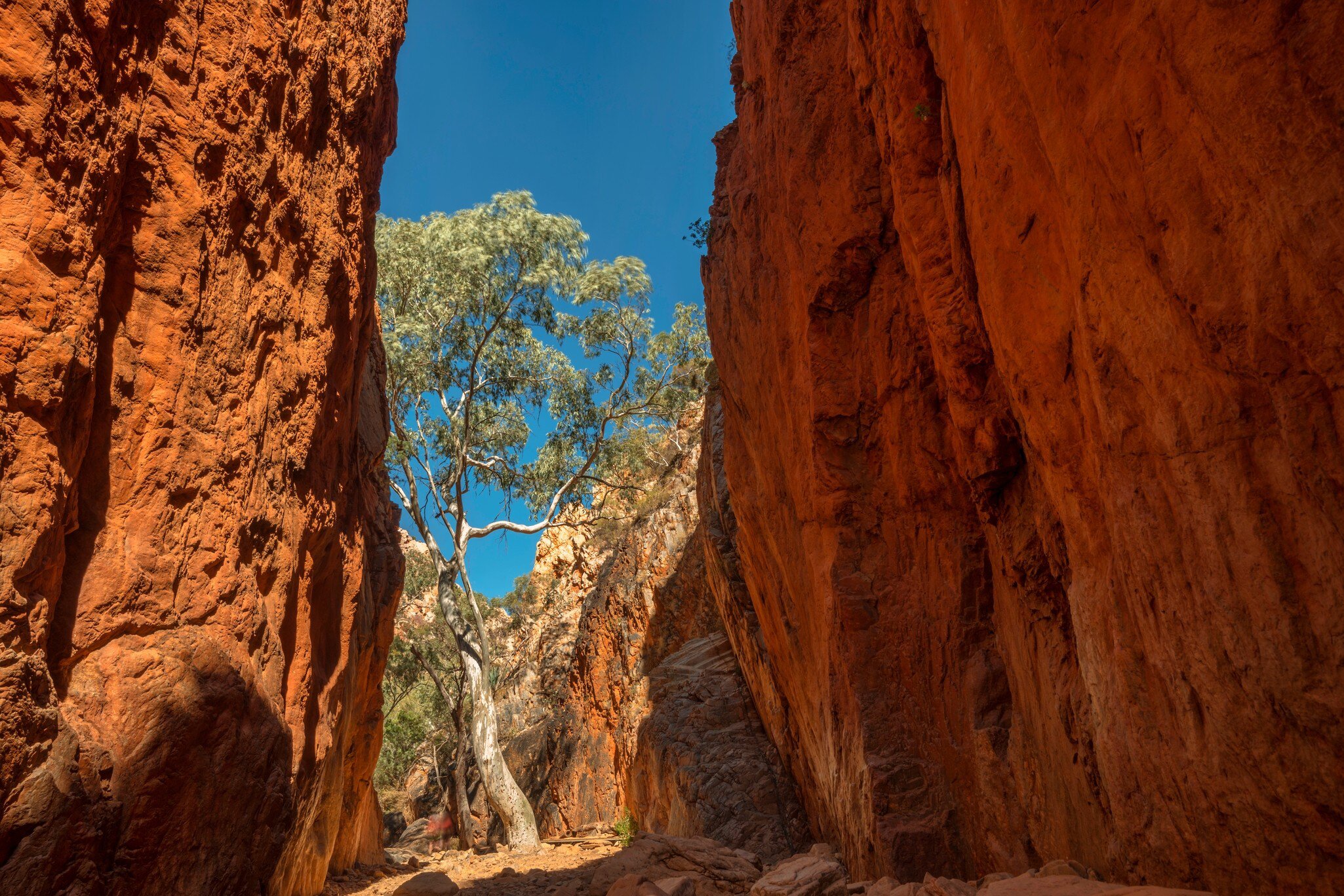 A beautiful view of the Standley Chasm during sunrise in the West MacDonnell National Park, Australia.