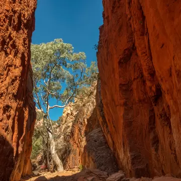 A beautiful view of the Standley Chasm during sunrise in the West MacDonnell National Park, Australia.