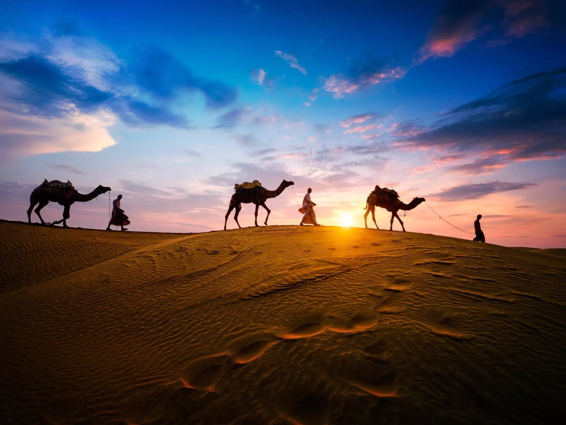Arrange your trip into the Tunisian Sahara from the town of Douz. camor8icosa / Shutterstock