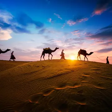Arrange your trip into the Tunisian Sahara from the town of Douz. camor8icosa / Shutterstock