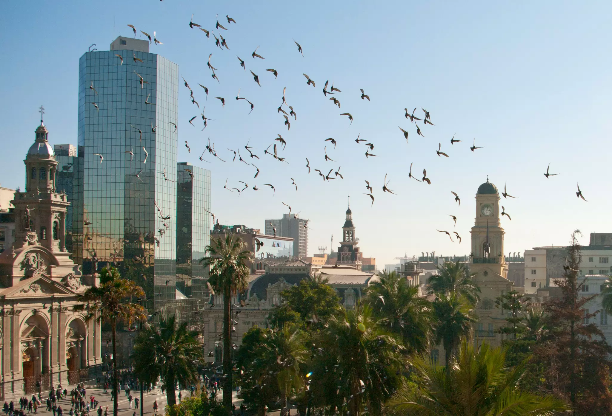 A flock of pigeons fly upwards into a blue sky above a yellow church building with two prominent bell towers