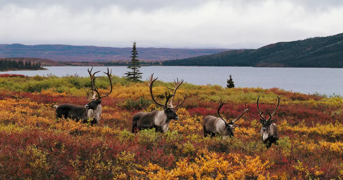 8 of the best places to visit in Alaska - Lonely Planet