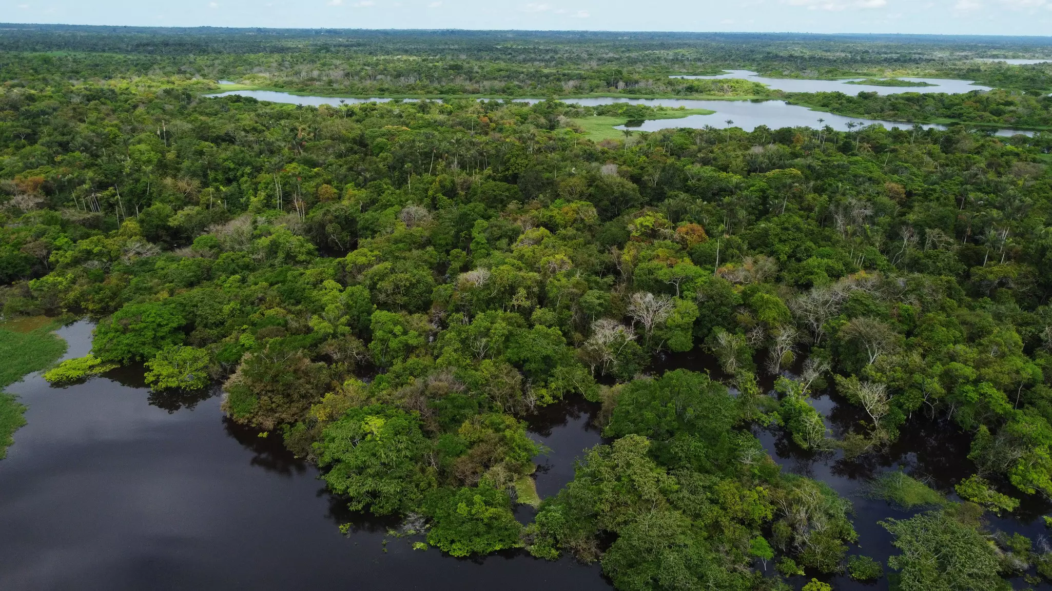 Aerial view of Amazon rainforest, Amazonas, Brazil. Nelson Antoine/Shutterstock